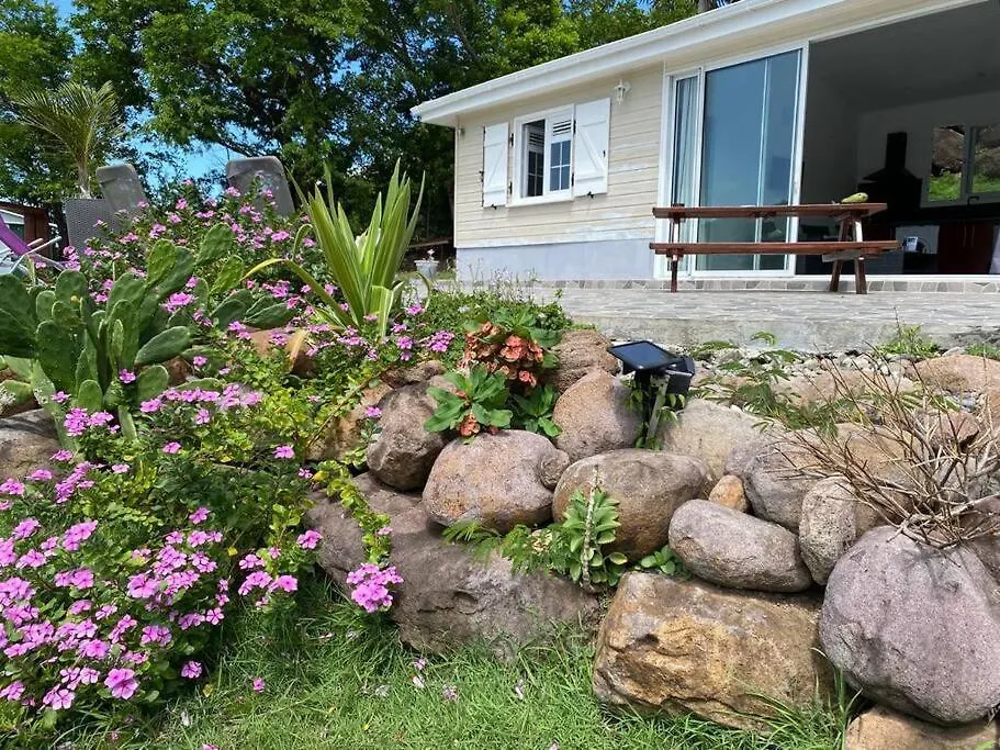 Villa Spacieuse Raffinee Dans Son Ecrin De Verdure Fond Fleury Martinique