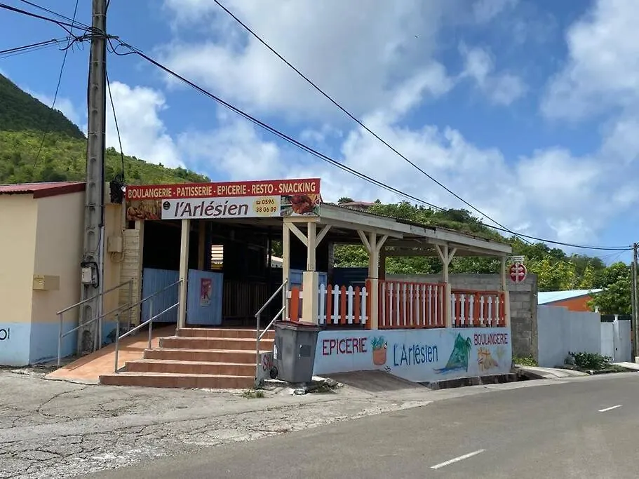 Villa Spacieuse Raffinee Dans Son Ecrin De Verdure Fond Fleury